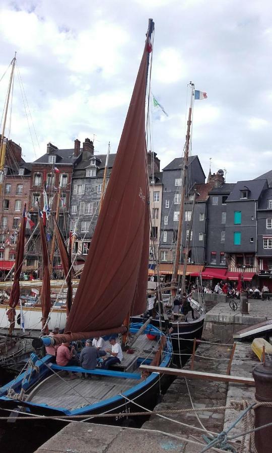 Апартаменти La Fleur D Honfleur Avec Son Parking Екстер'єр фото