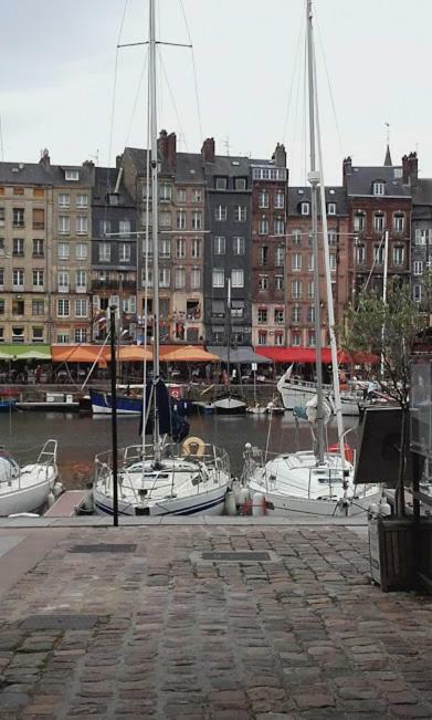Апартаменти La Fleur D Honfleur Avec Son Parking Екстер'єр фото